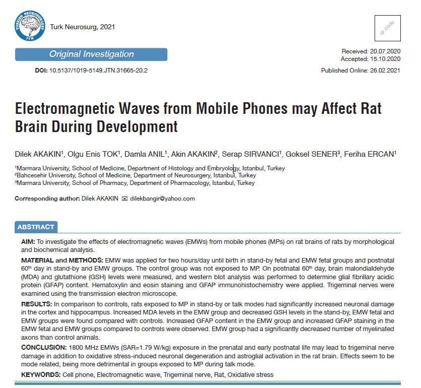 手机发出的电磁波可能会影响老鼠发育过程中的大脑Electromagnetic W...